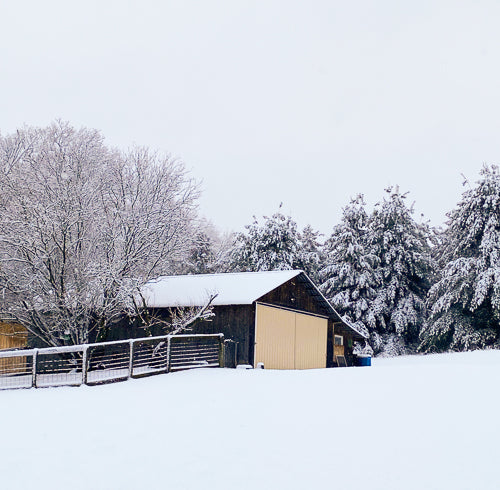 April snow shower