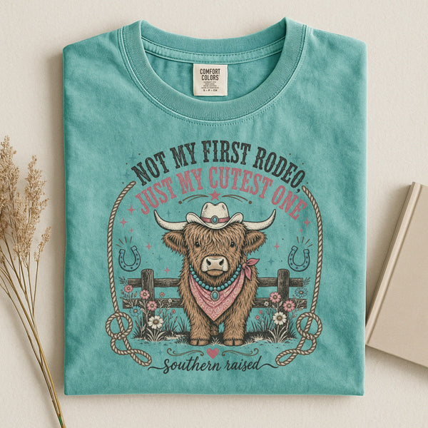 Highland Cow