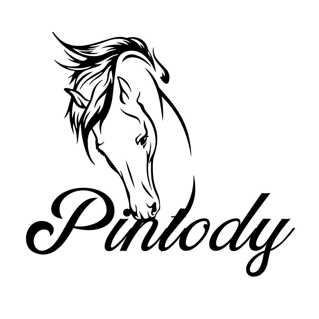 Pintody