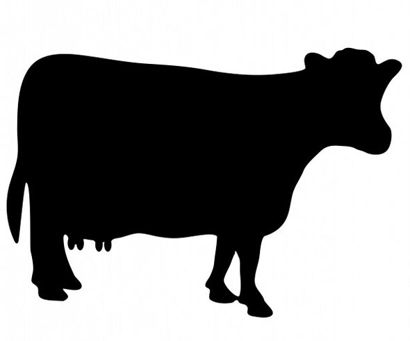 Tiny Cow Ear Tag With Farm Animal Engraved